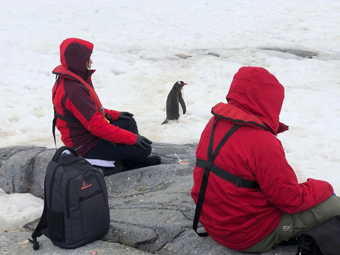 Antarctica 2019 12-7.jpg